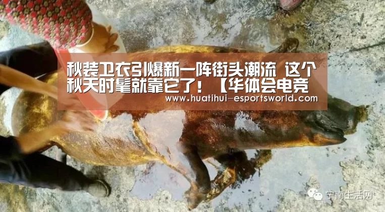 秋装卫衣引爆新一阵街头潮流 这个秋天时髦就靠它了!【华体会电竞APP】(图1) 华体会电竞APP
